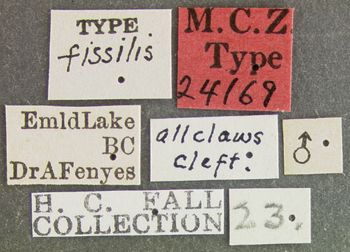 Media type: image;   Entomology 24169 Aspect: labels